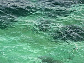 Eau de mer naturelle - 27 litres