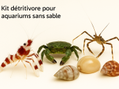 Kit D&eacute;tritivores Roches SANS SABLE 10 / 500 - 1 000 Litres