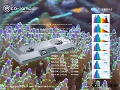 Led Lighting KRV8-24 - Black - Eco-lamps&reg;
