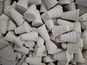 Plugs sp&eacute;cial Zoanthus - diam 18mm - Lot de 100 - REEFTECH EPF018