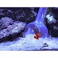 Catch Bowl - Aqua Medic - Pi&egrave;ge &agrave; poisson