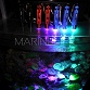 Coral Checker CFP (protéine de fluorescence)- 365nm Eco-lamps®