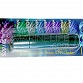 Coral Checker CFP (protéine de fluorescence)- 365nm Eco-lamps®