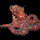 Octopus macropus 15-20 cm Rouge